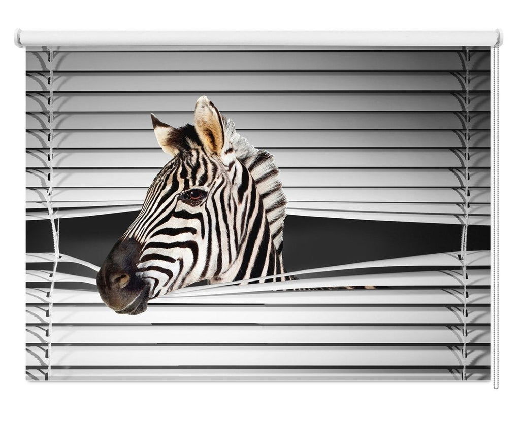 zebra bar one v5 0 free